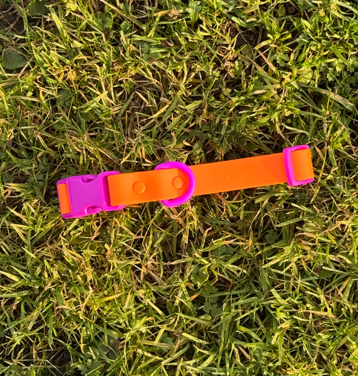 The Fritz Dog Collar | Sunset Violet: Small