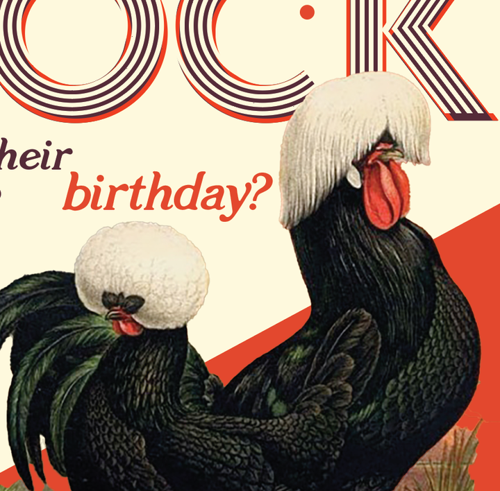 A LITTLE COCK sexy birthday card