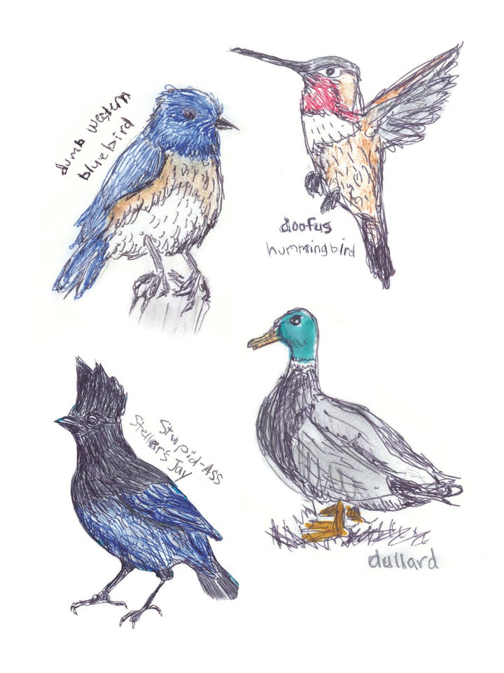 Field Guide to Dumb Birds Sticker Book