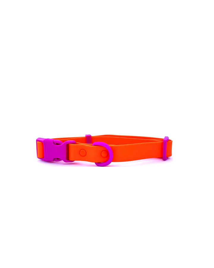 The Fritz Dog Collar | Sunset Violet: Small