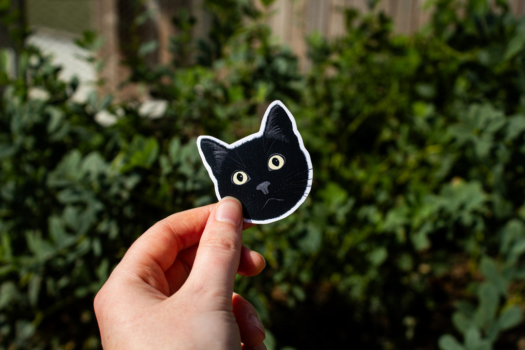 Coraline the Cat Sticker