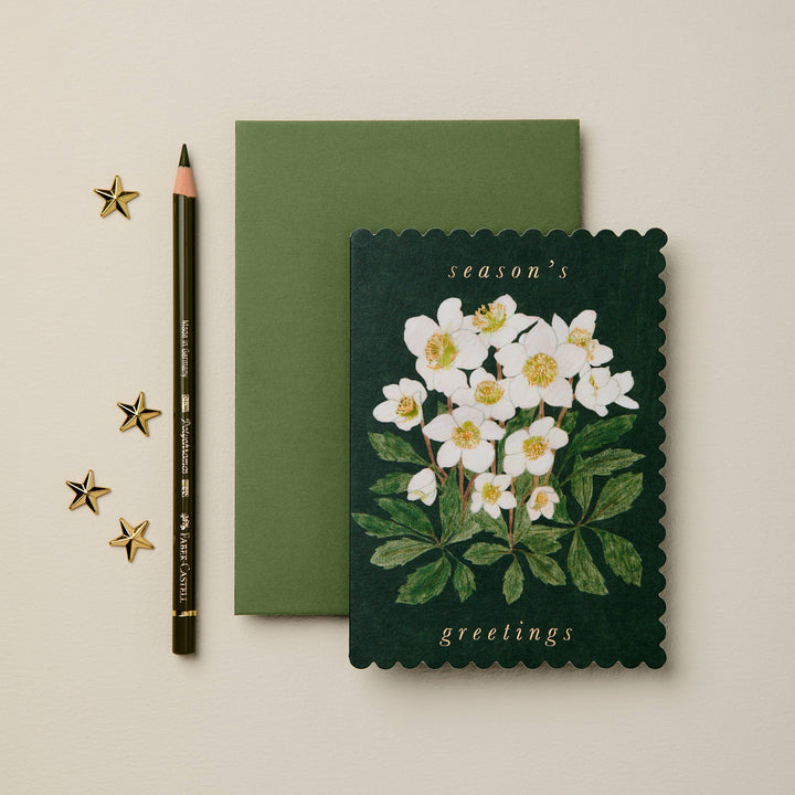 Hellebore 'Season's Greetings' Card