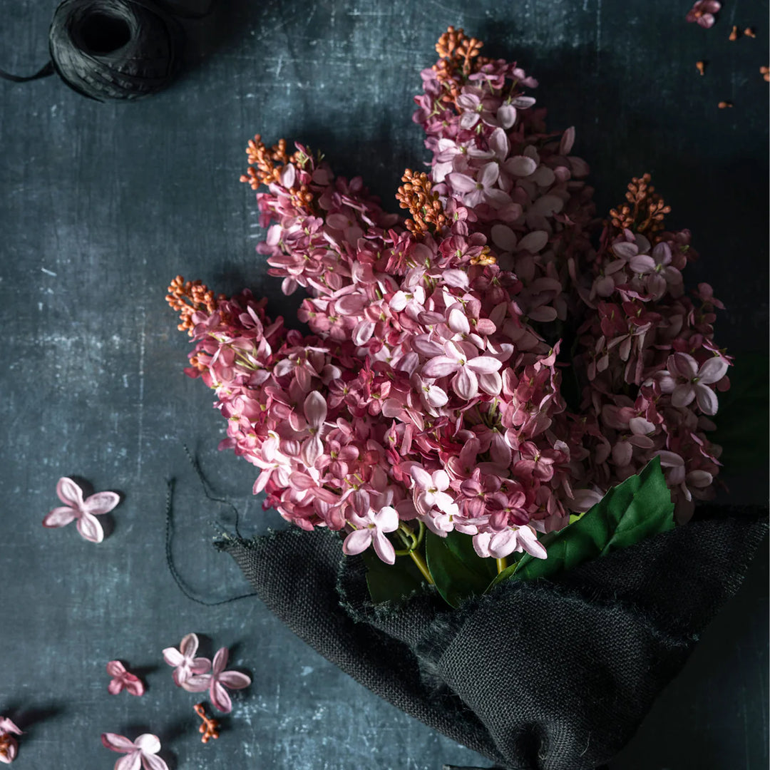 Cone Hydrangea Pink Sunset