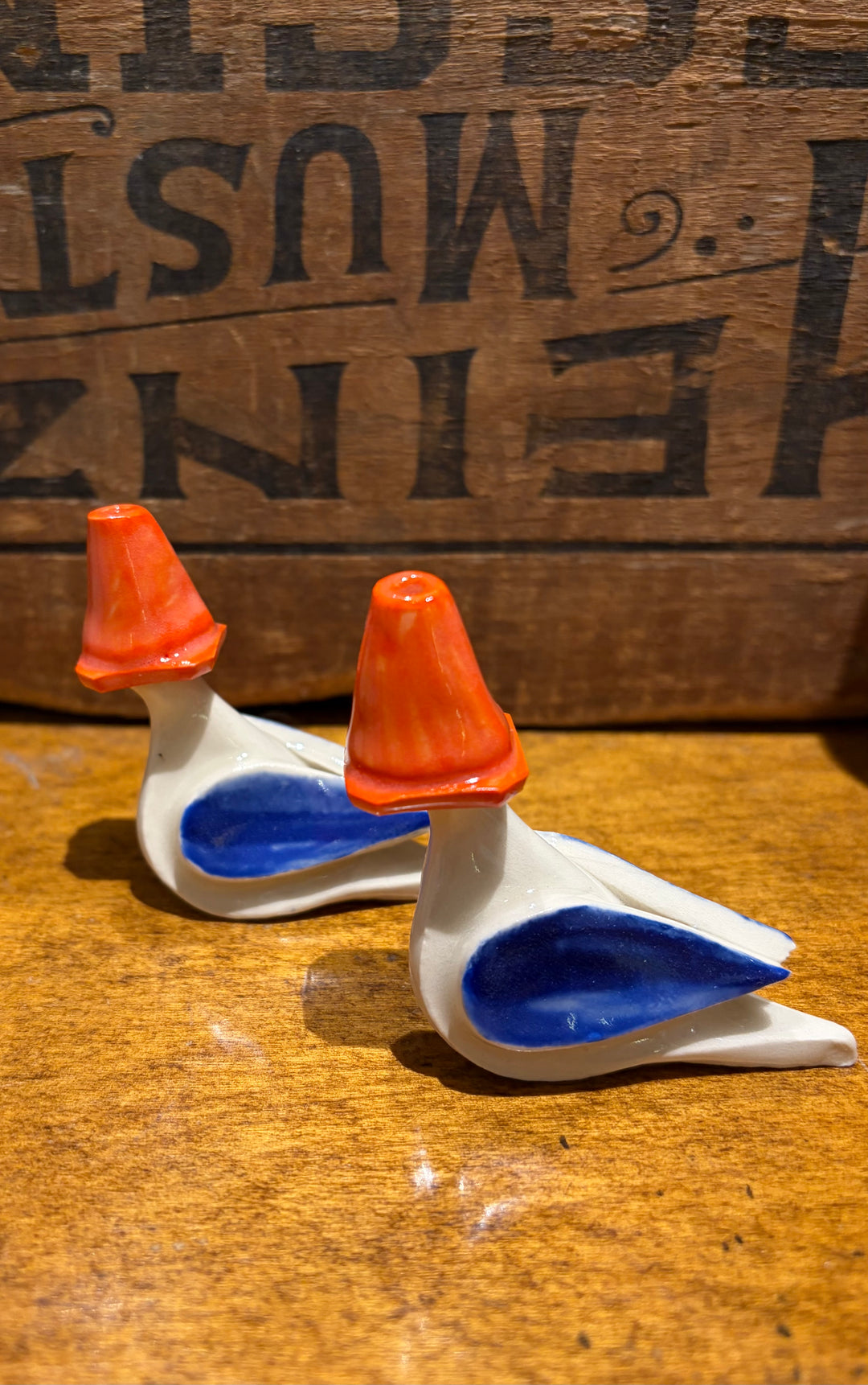 Traffic Cone Pigeon