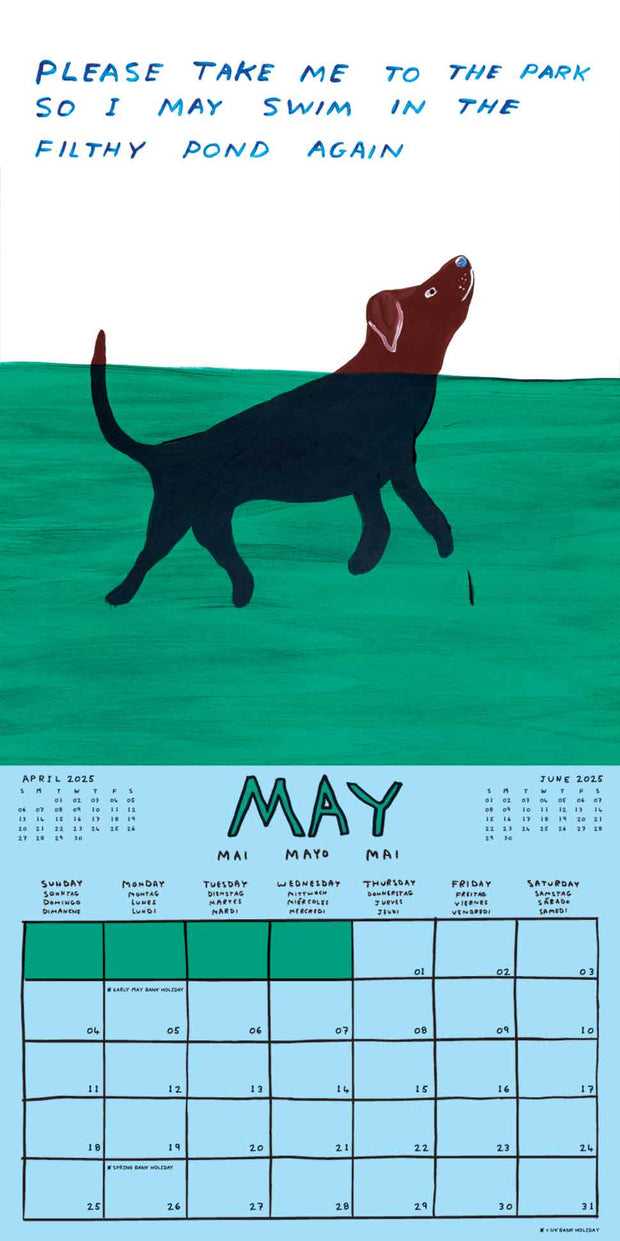 David Shrigley 2025 Calendar