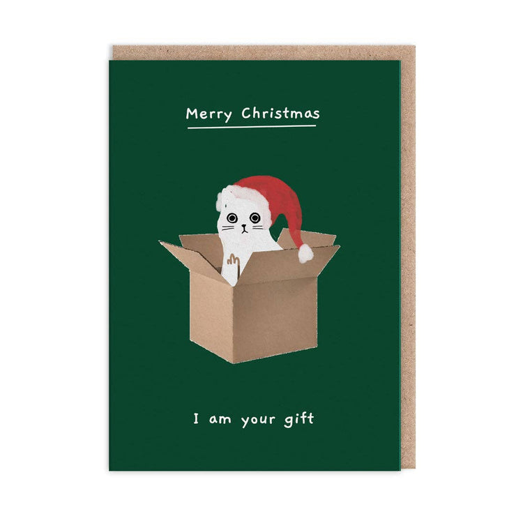 Merry Christmas I Am Your Gift Christmas Card (9678)