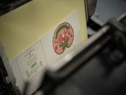 With Love Archivist x Blumenhaus Flower Matches
