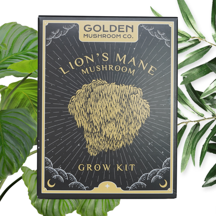 Lion's Mane Mushroom Grow Kit