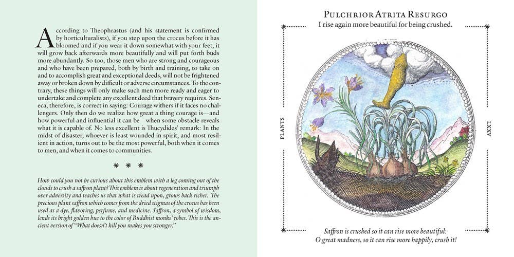 Symbolorum: The Secret Wisdom of Emblems