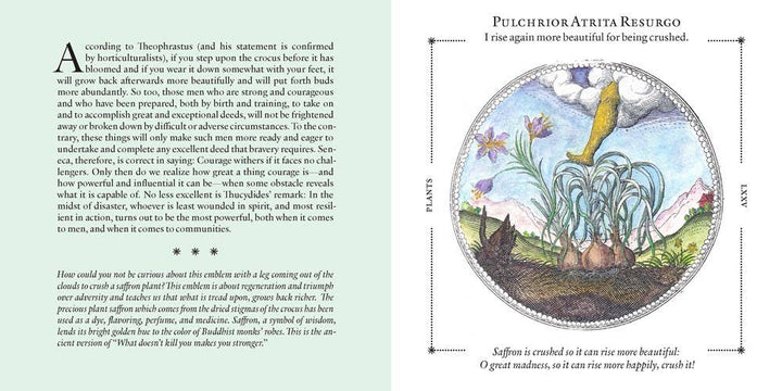 Symbolorum: The Secret Wisdom of Emblems