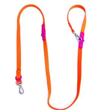 The Fritz Dog Leash with Handle : Standard