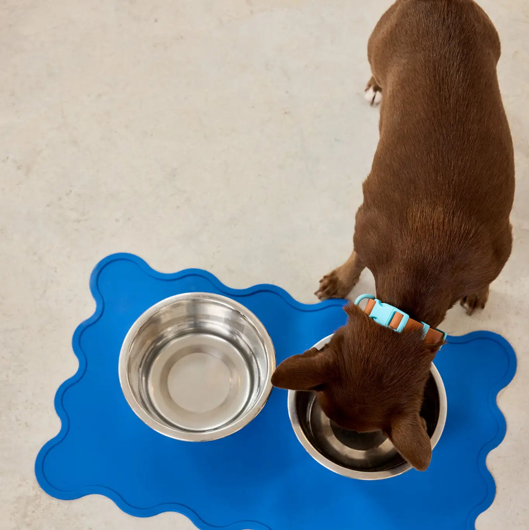 The Fritz Bowl Mat For Dogs