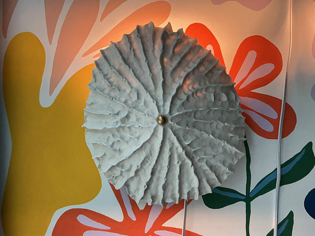 Limpet wall light