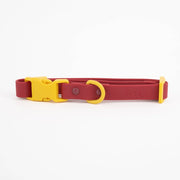 The Fritz Dog Collar : Burgundy sun / Small