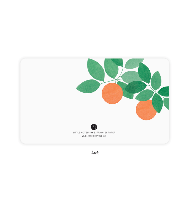 Orange Slice Little Notes