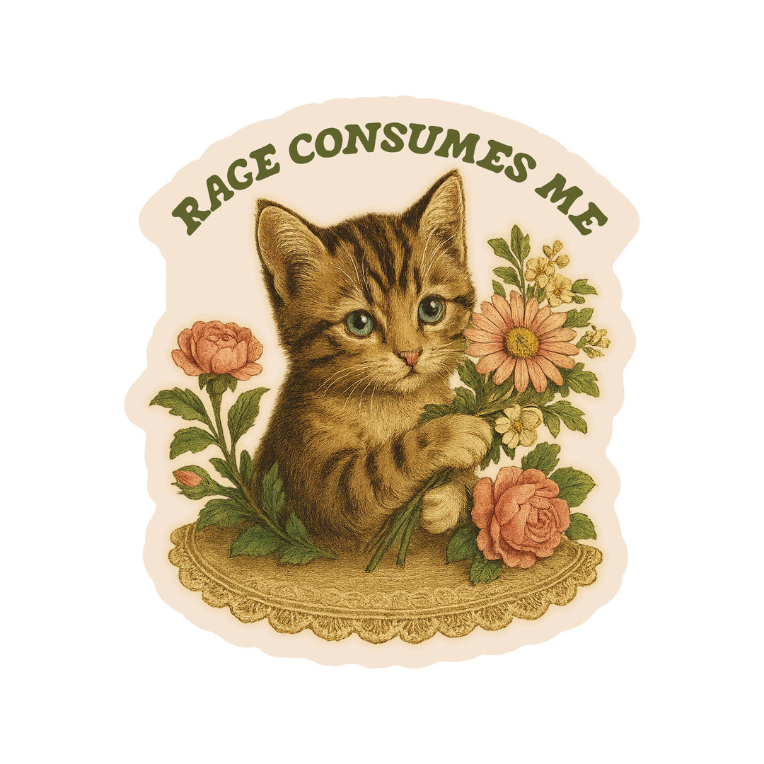 Feisty Kitty Cat Sarcastic Cute High Quality Vinyl Sticker