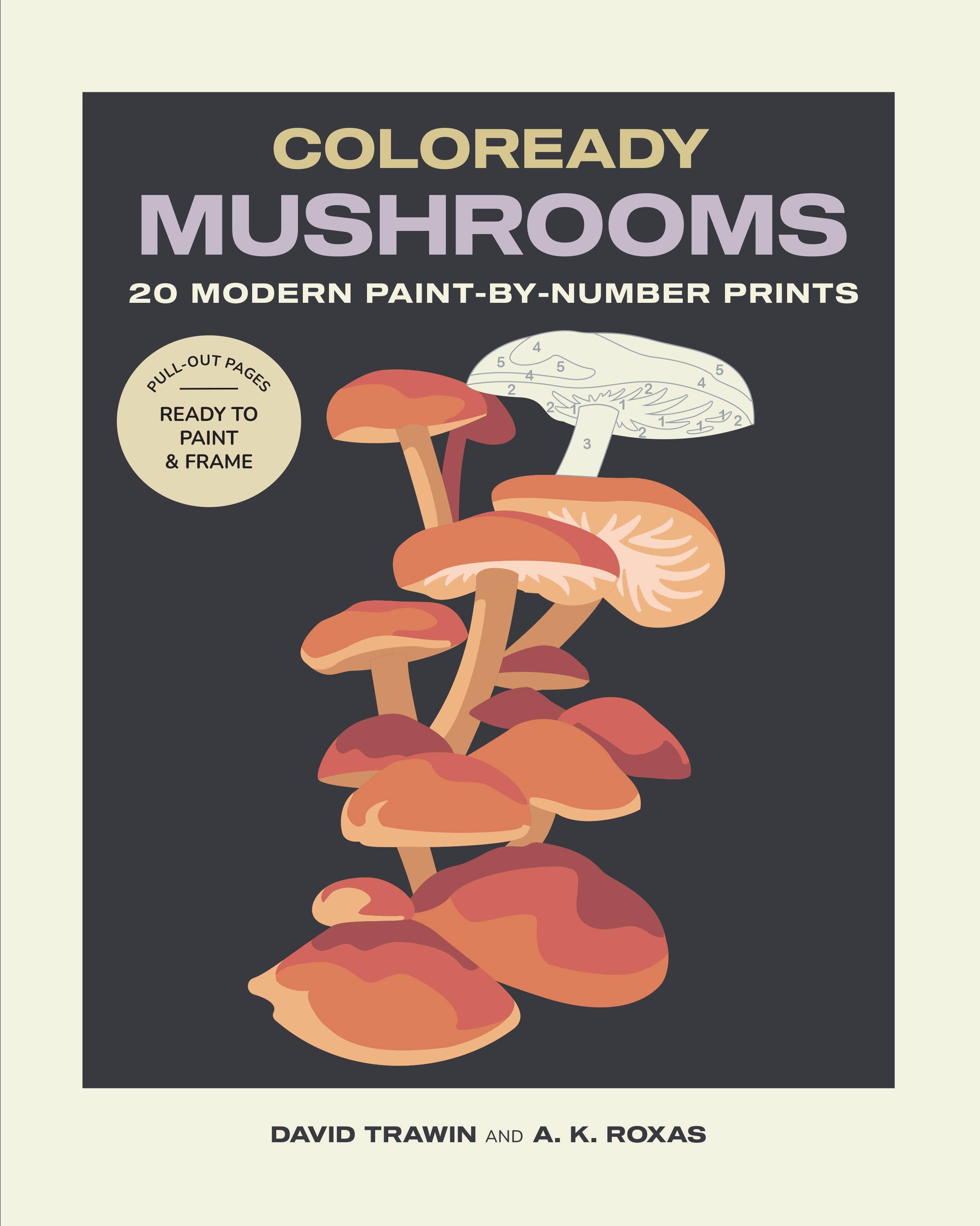 Coloready Mushrooms – A.MANO Brooklyn
