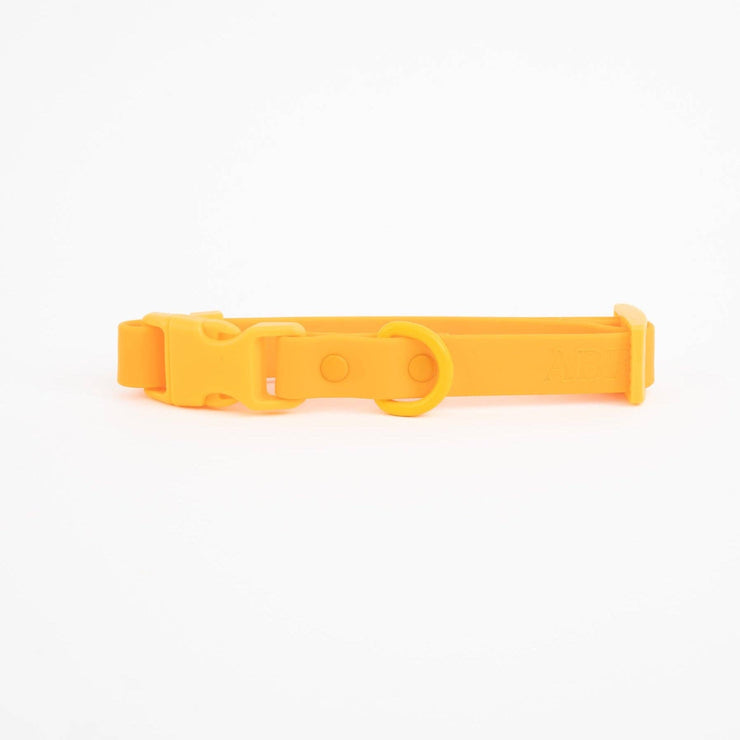 The Fritz Dog Collar : Orange mango / Small