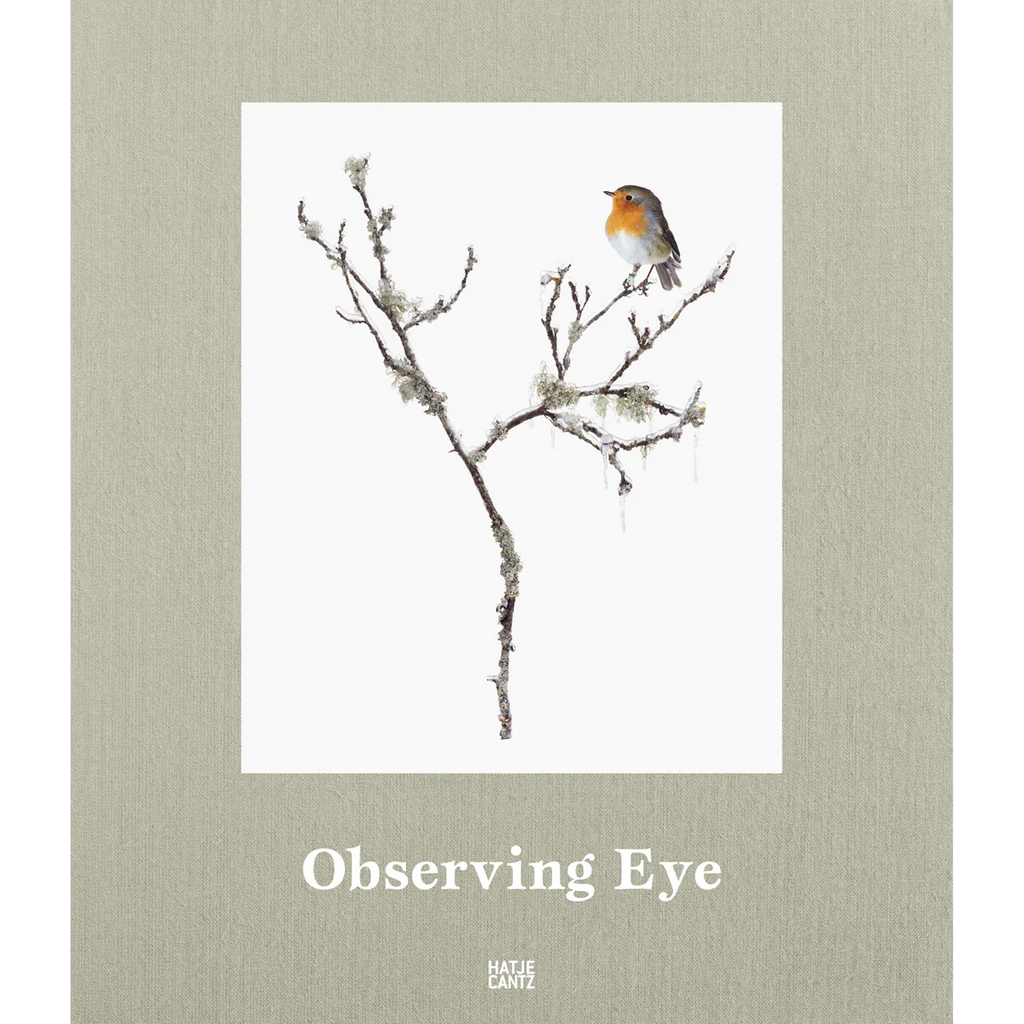 Sanna Kannisto Observing Eye