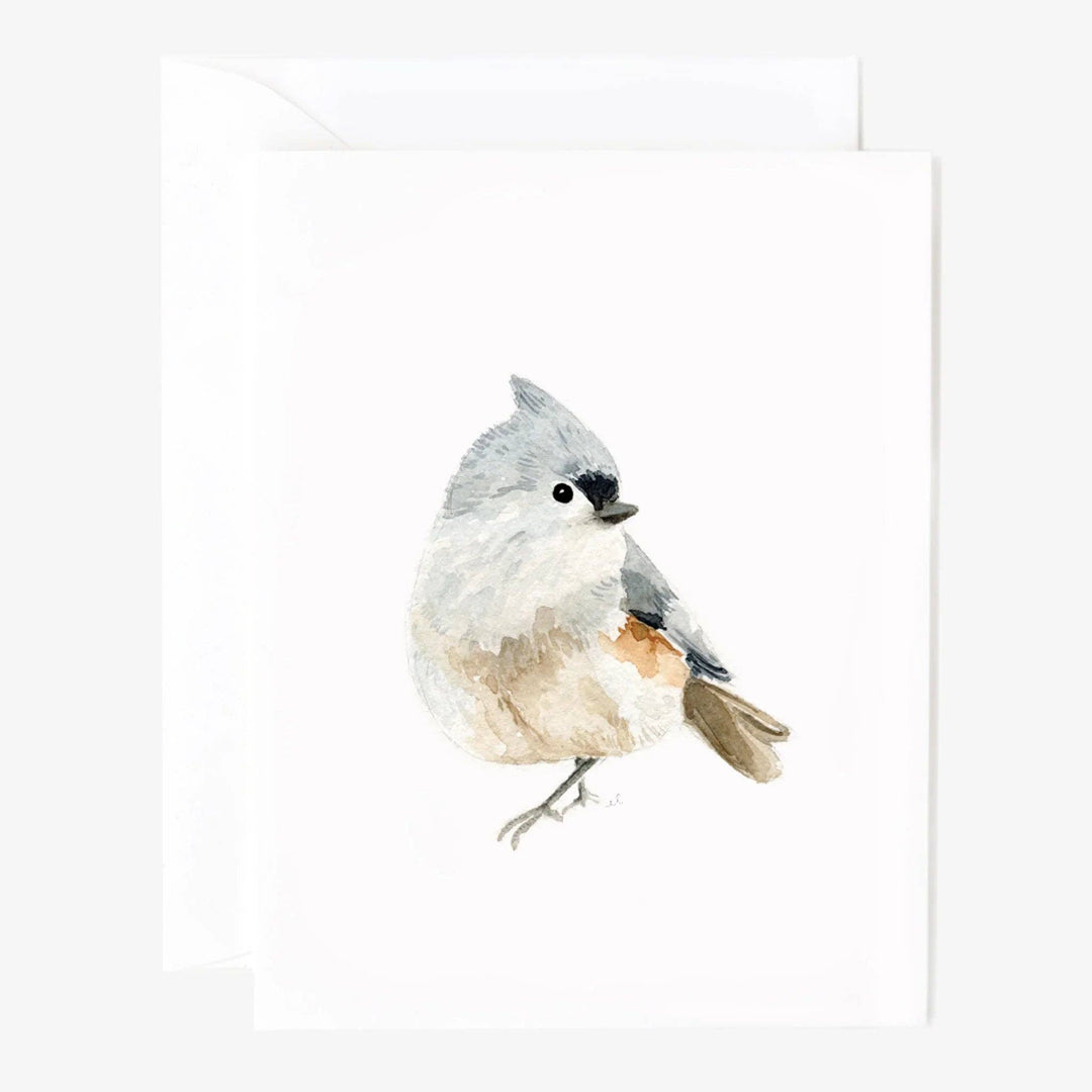 Birds assorted notecard set