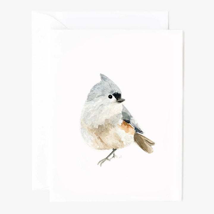Birds assorted notecard set