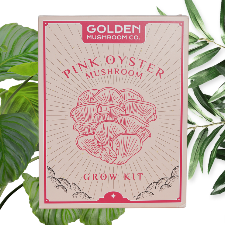 Pink Oyster Mushroom Grow Kit