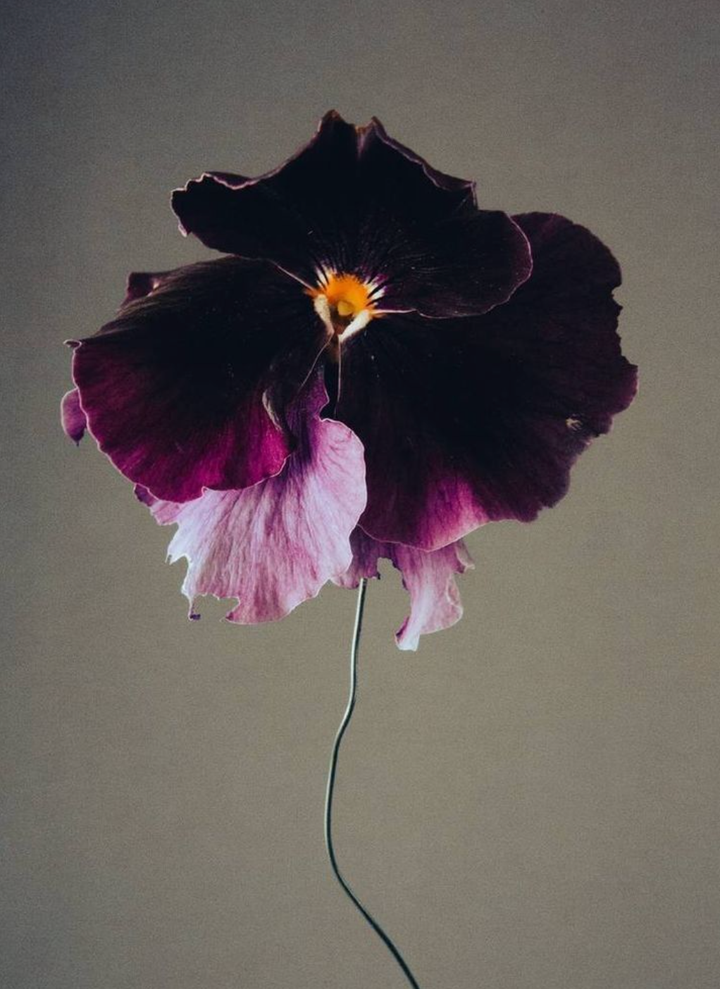 Moody Blooms Candle