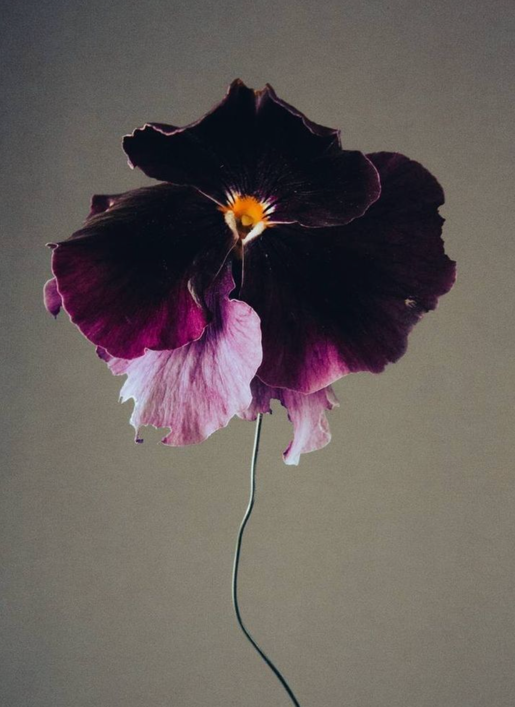 Moody Blooms Candle - SAMPLE