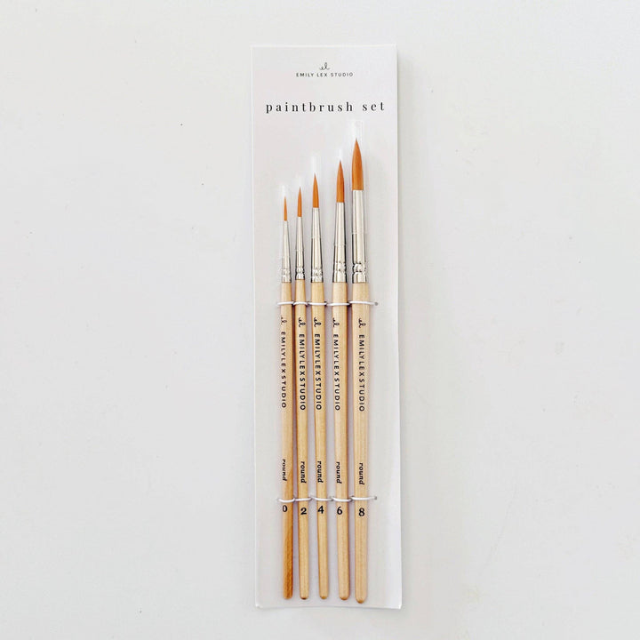 Watercolor paintbrush set of five wood brushes