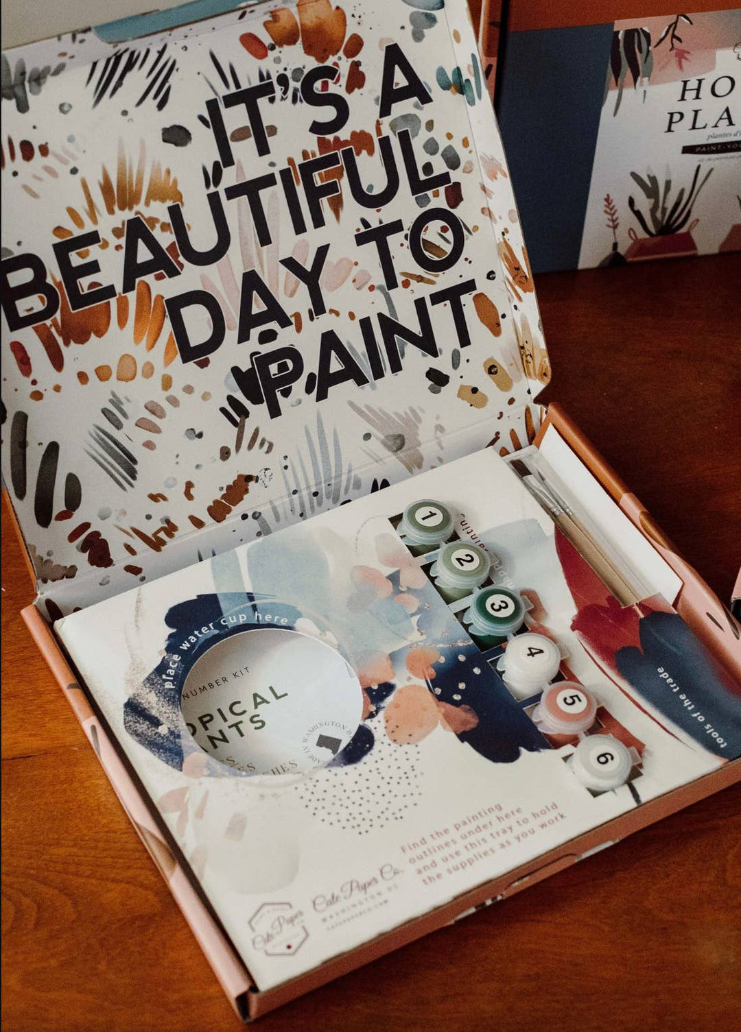 Zinnia Blooms Paint-By-Numbers Kit