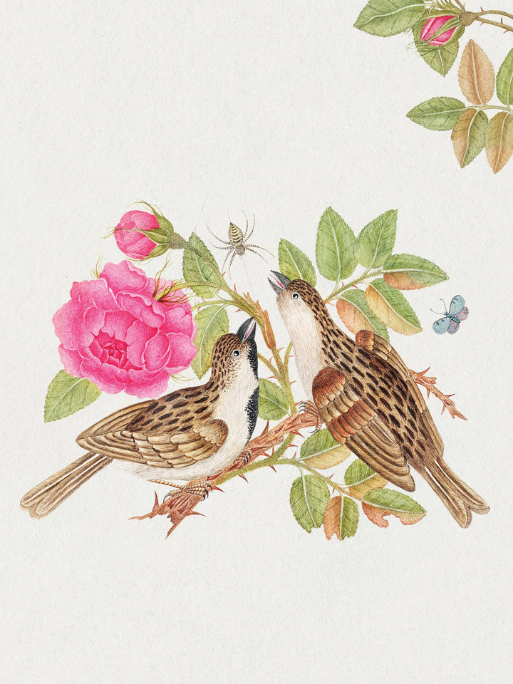 Flowers, Birds & Butterflies Celebrations Boxed Notecards