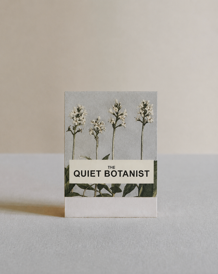 Buckbean, Marsh Trefoil Botanical Matches