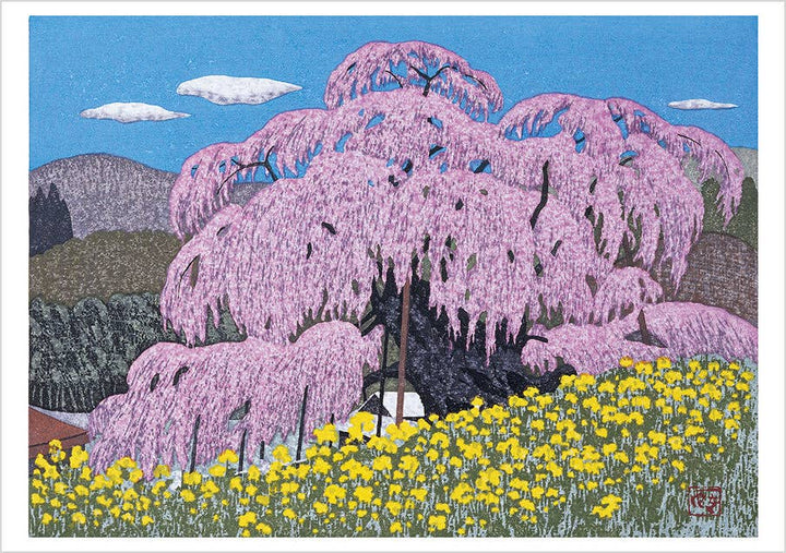 Kazuyuki Ohtsu: Cherry Trees Boxed Notecard Assortment
