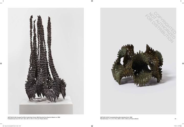 Ruth Asawa: Retrospective