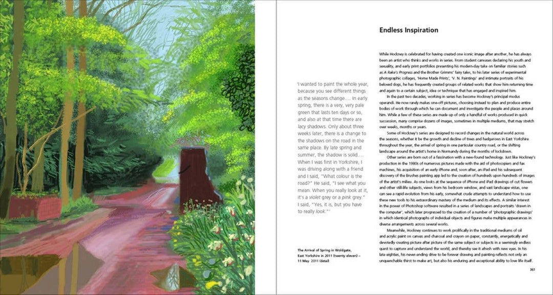 Hockney's Pictures