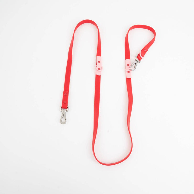 The Fritz Dog Leash | Leash wit Handle | Multi Dog Leash: Burgundy sun / Standard