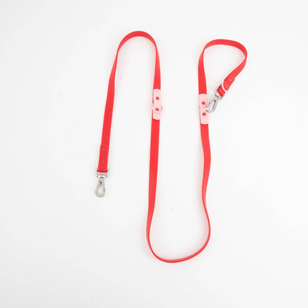 The Fritz Dog Leash | Leash wit Handle | Multi Dog Leash: Baby blue red / Standard