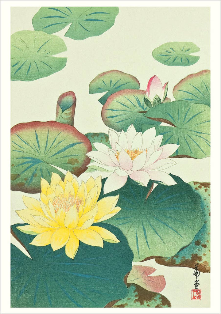 Haiku: Japanese Art and Poetry Boxed Notecard Assortment