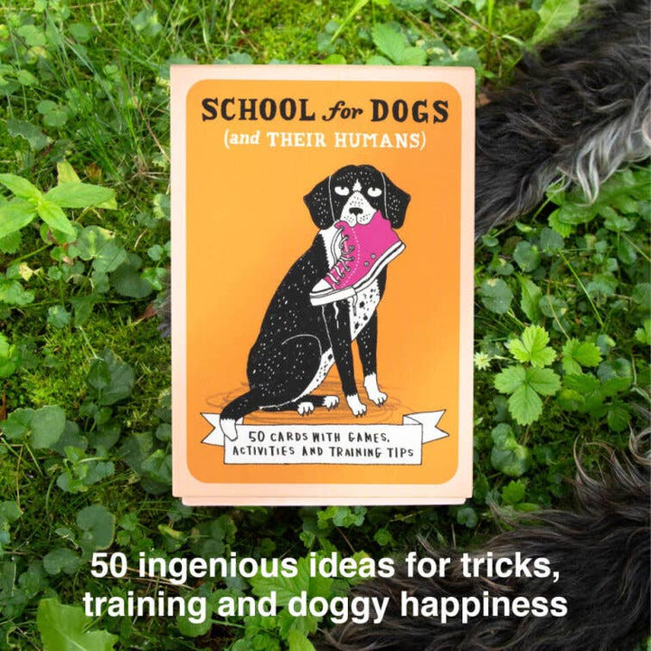 School for Dogs (and Their Humans)