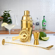 Stainless Steel Barware Set of 4 ASSORTED COLORS