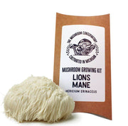 Lions Mane Gourmet Mushroom Growing Kit!