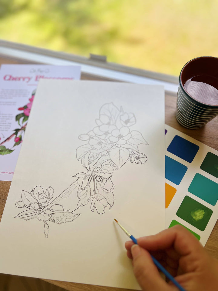 Cherry Blossoms watercolor painting kit