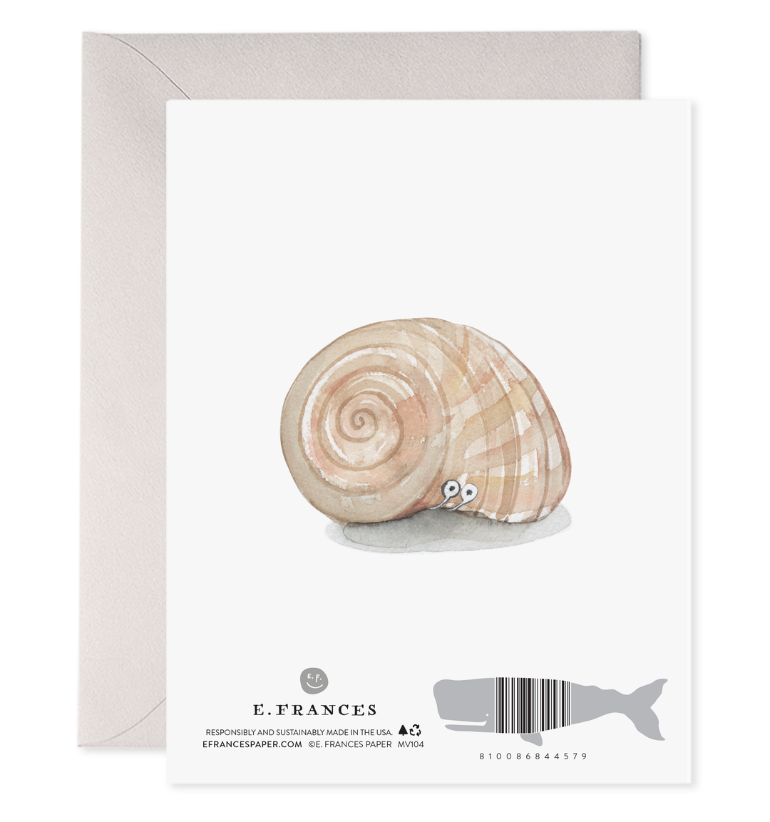 New Shell Greeting Card