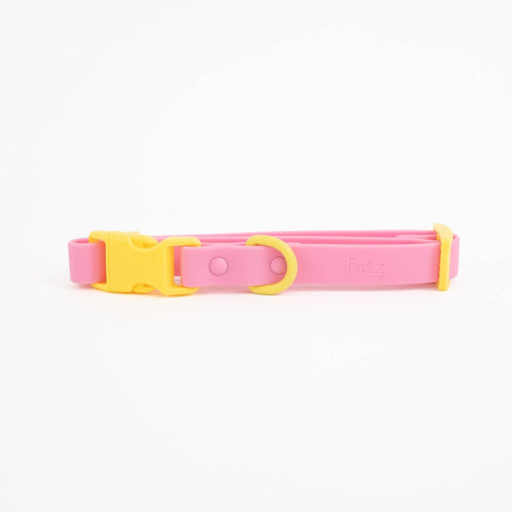 The Fritz Collar: Medium / blue orange