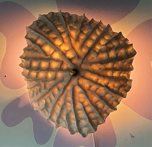 Limpet wall light