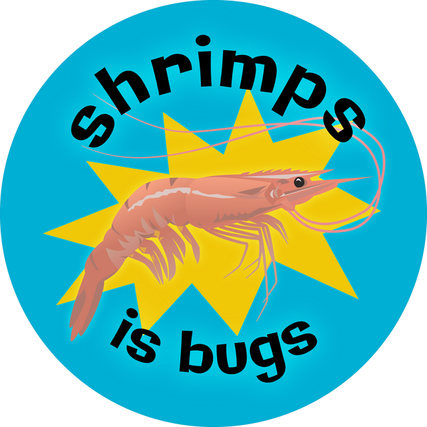 SHRIMPS IS BUGS Stickers - Set of 2