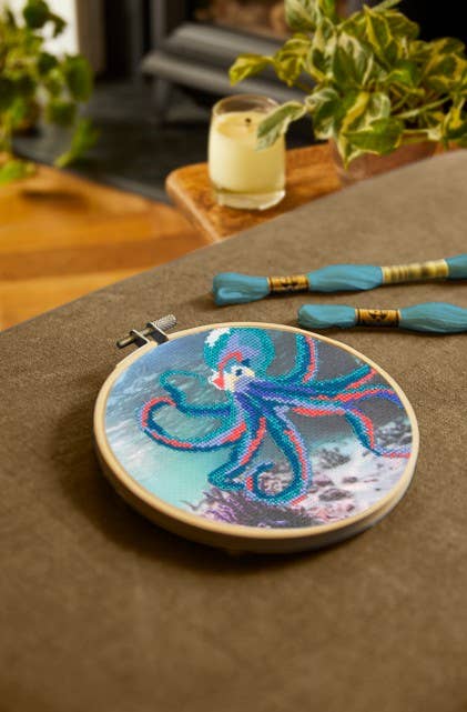 Octopus Cross Stitch Kit - DMC