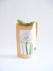 "Get Growing" Mindful Garden in a Bag Kit: Italian Parsley