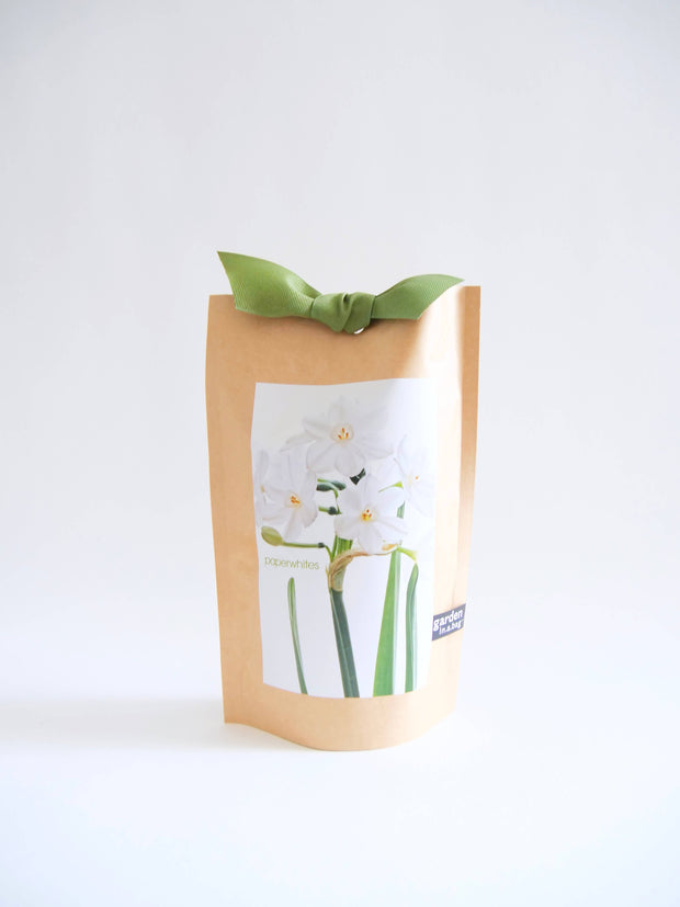 "Get Growing" Mindful Garden in a Bag Kit: Italian Parsley