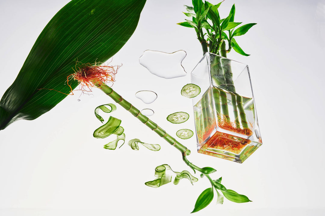 Bamboo - Reed Diffuser, 6 oz